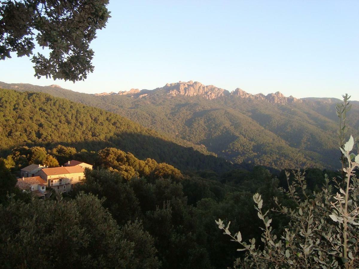 Chez Paulette - Meuble De Tourisme Classe 3 Etoiles Zonza Buitenkant foto
